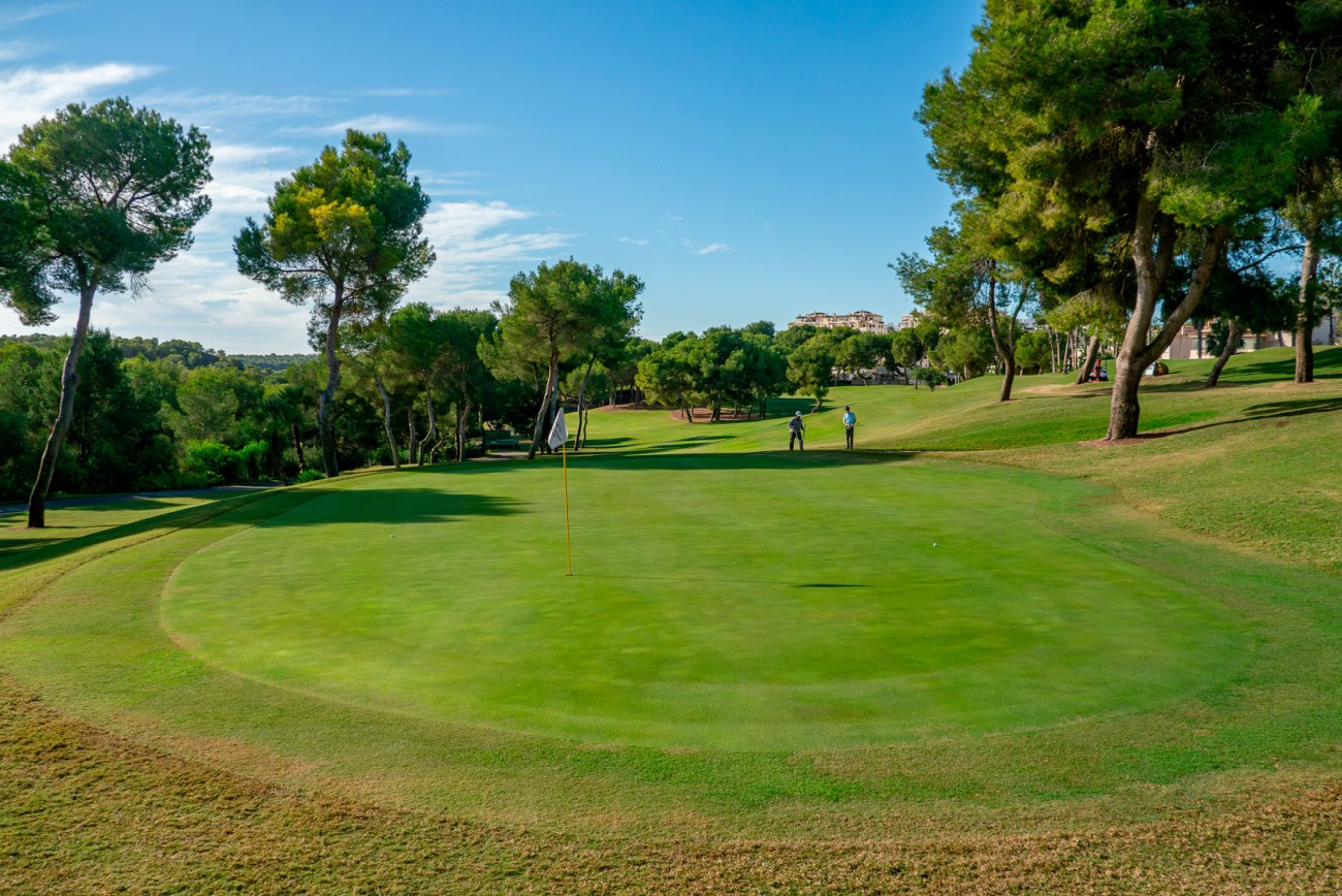 Antonio Solans representará a Aragón en el Campeonato de España Masculino  de 2ª Categoría | Federación Aragonesa de Golf
